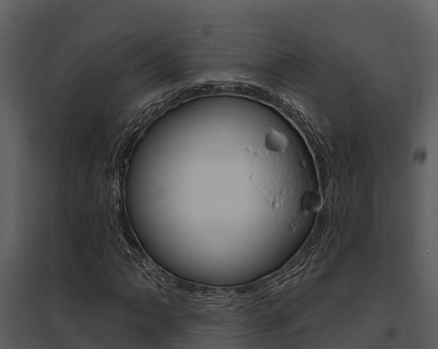 X0000095681062200801081058