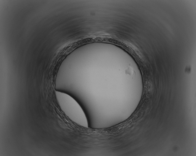 X0000095681063200801081058