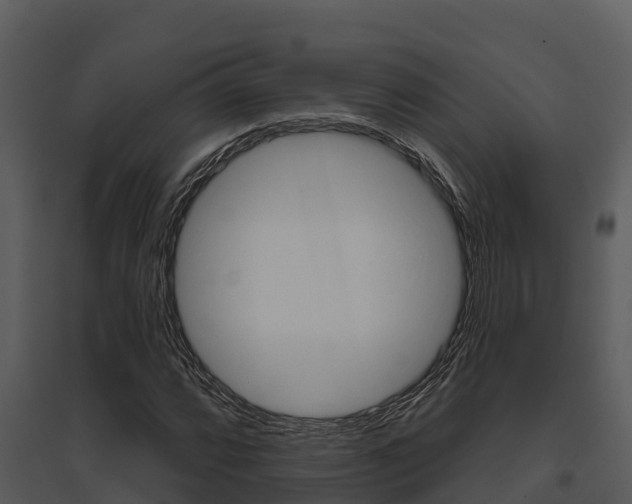 X0000095681064200801081058