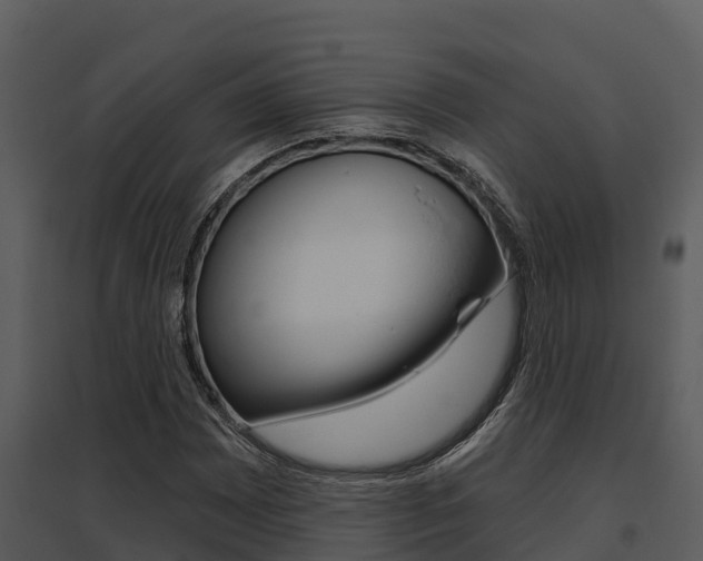 X0000095681065200801081058