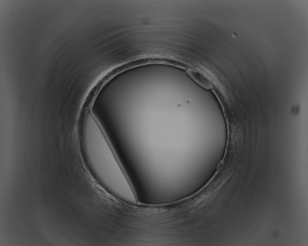 X0000095681068200801081058