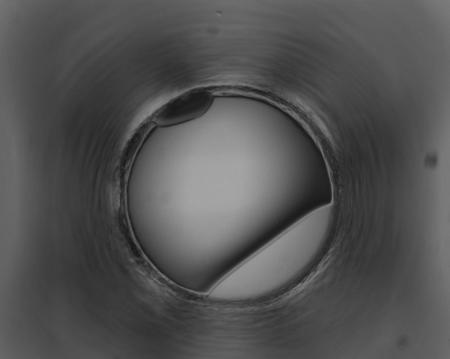 X0000095681069200801081058