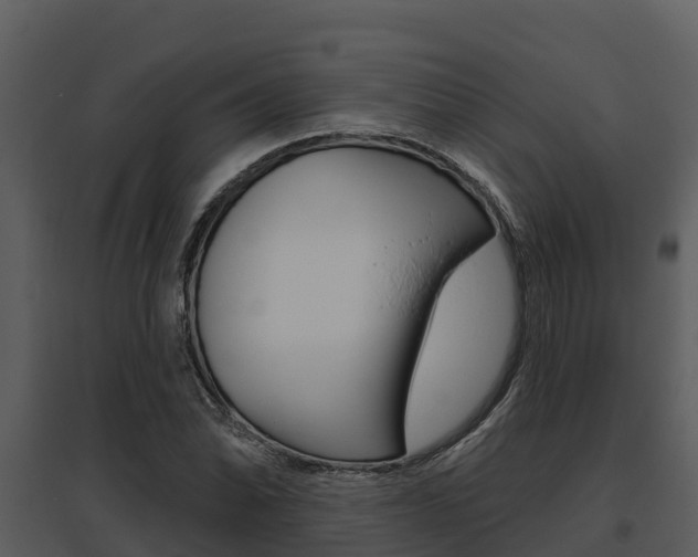 X0000095681070200801081058