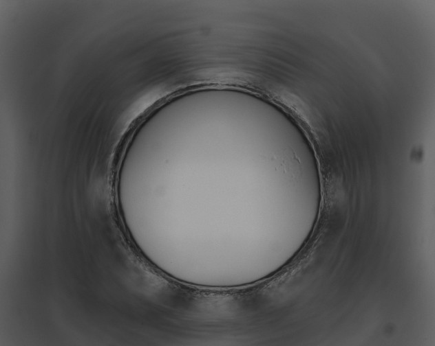 X0000095681071200801081058