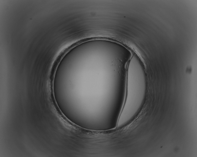 X0000095681072200801081058