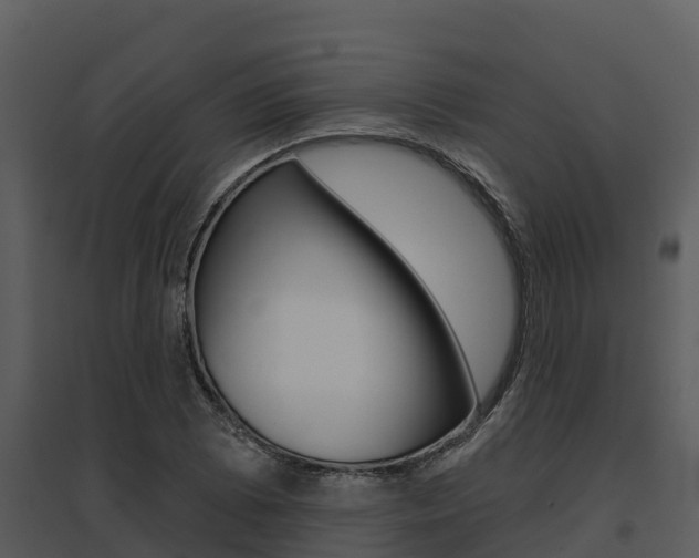 X0000095681073200801081058