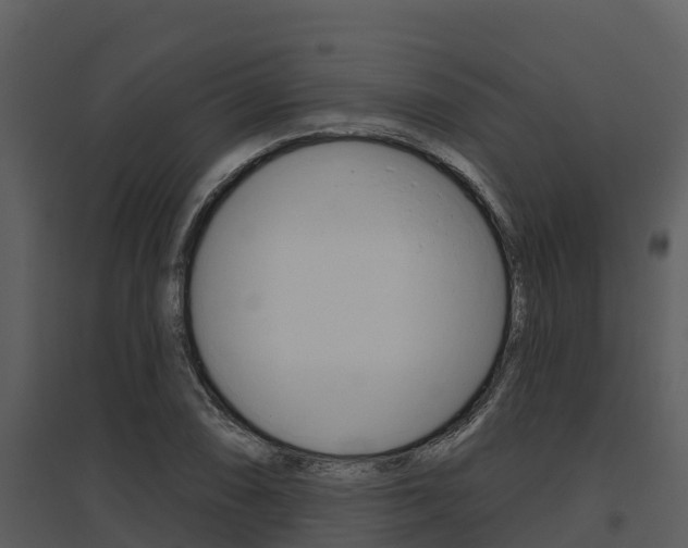 X0000095681074200801081058
