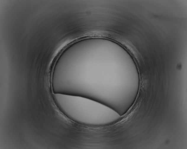 X0000095681075200801081058