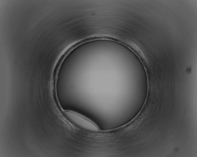 X0000095681076200801081058