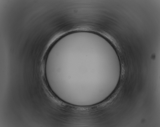 X0000095681078200801081058