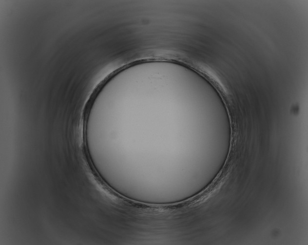 X0000095681079200801081058