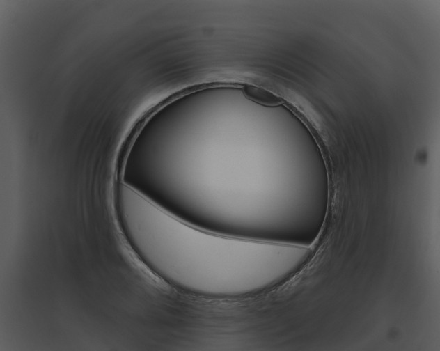 X0000095681080200801081058