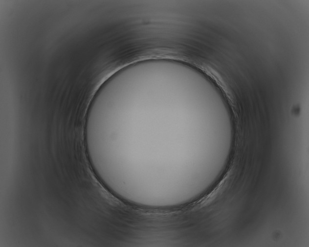 X0000095681081200801081057