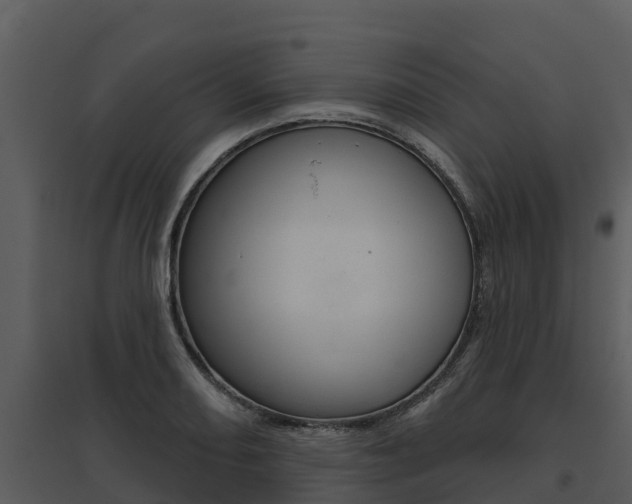 X0000095681082200801081057