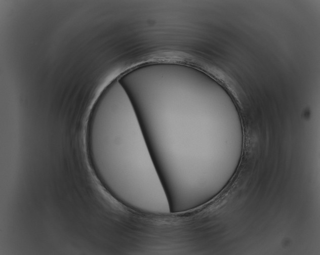 X0000095681083200801081057