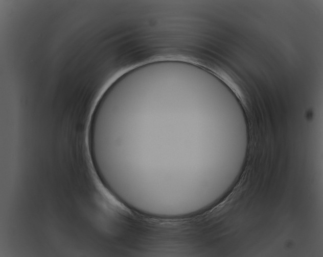 X0000095681084200801081057