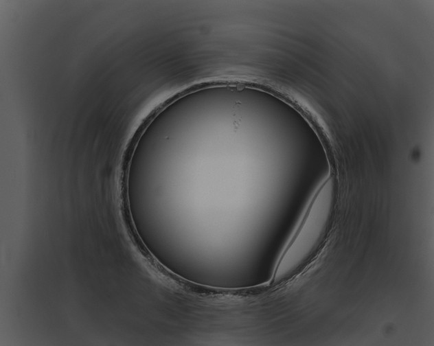 X0000095681085200801081057