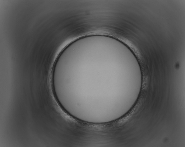 X0000095681086200801081057