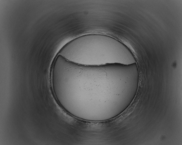 X0000095681087200801081057