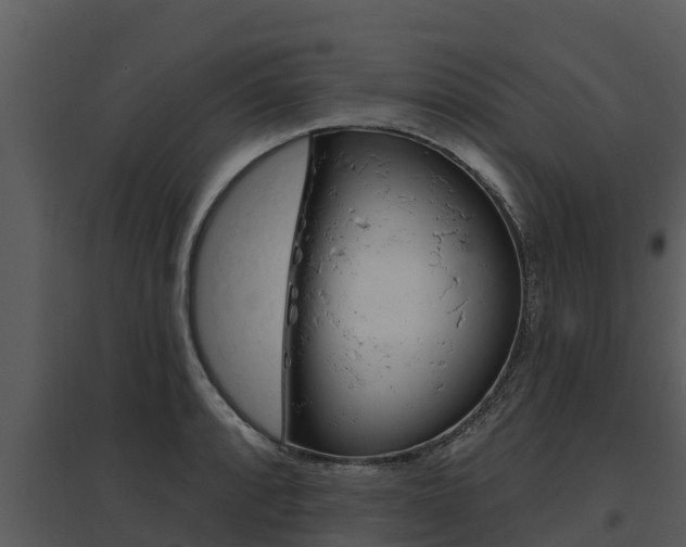 X0000095681088200801081057