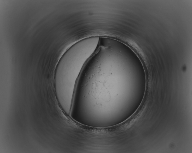 X0000095681089200801081057