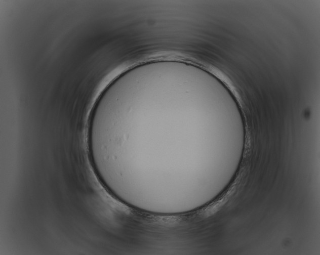 X0000095681090200801081057