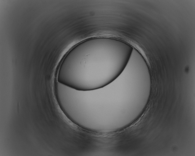 X0000095681091200801081057
