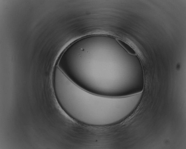 X0000095681092200801081057