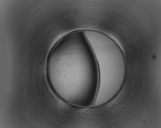 X0000095681093200801081057
