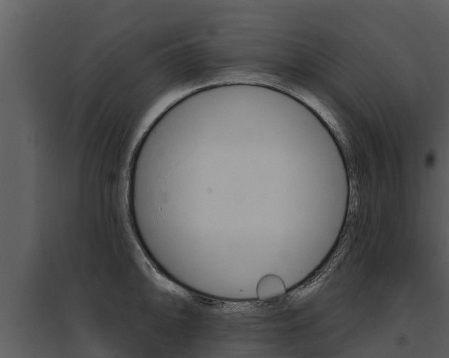 X0000095681094200801081057