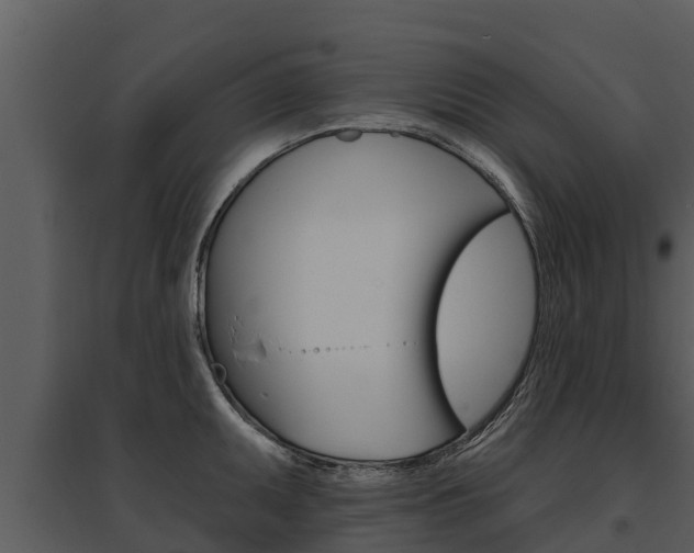 X0000095681095200801081057