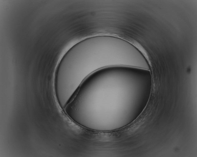 X0000095681096200801081057