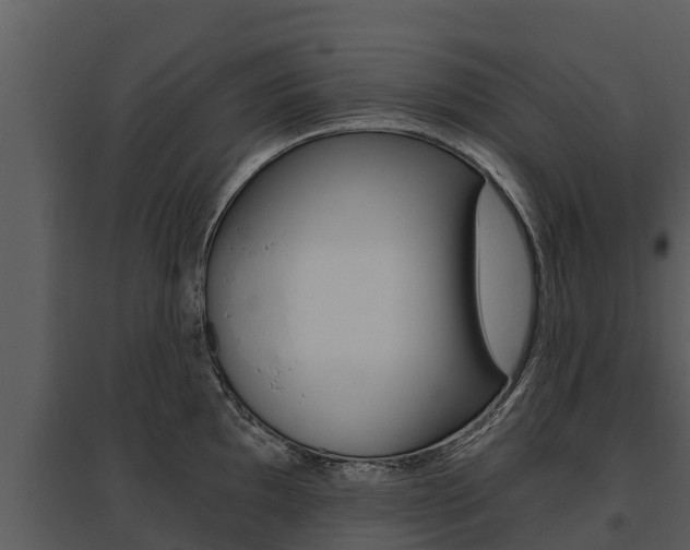 X0000095681097200801081057