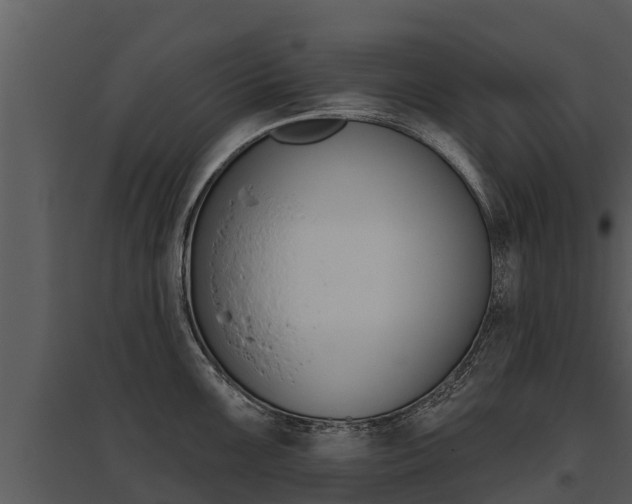 X0000095681099200801081057