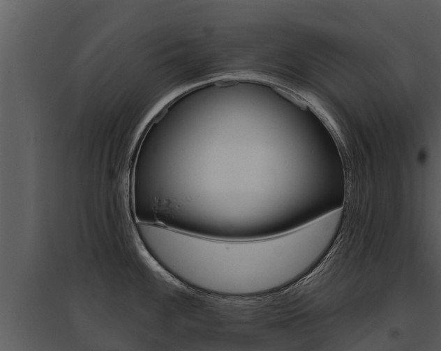X0000095681100200801081057