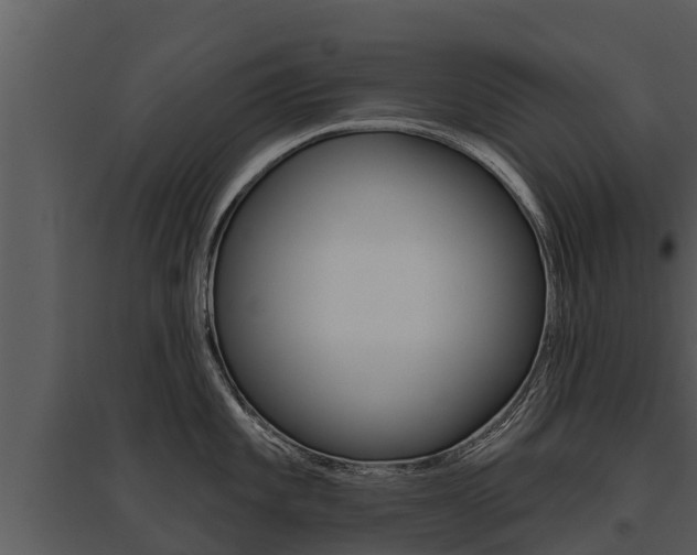 X0000095681101200801081057