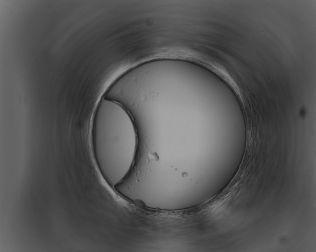 X0000095681103200801081057