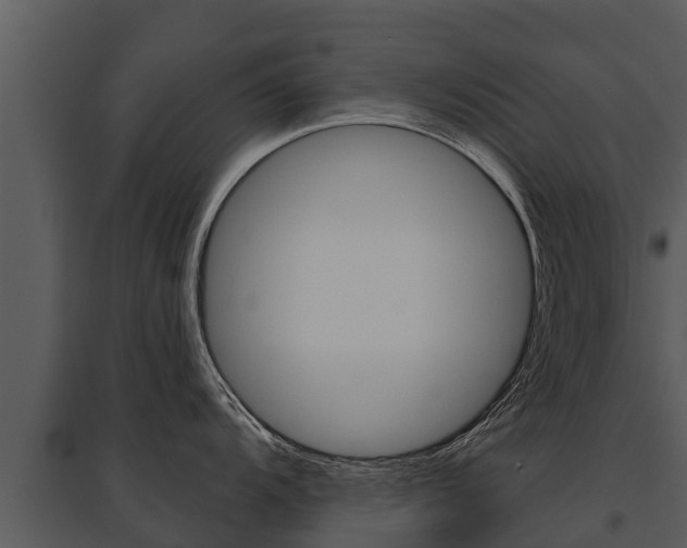 X0000095681104200801081057