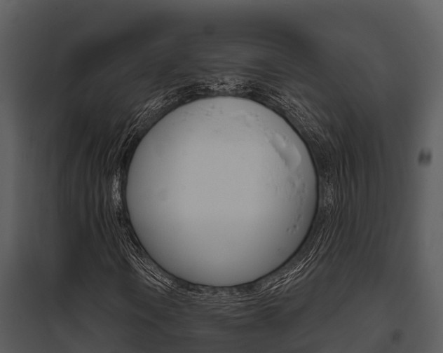 X0000095681106200801081057