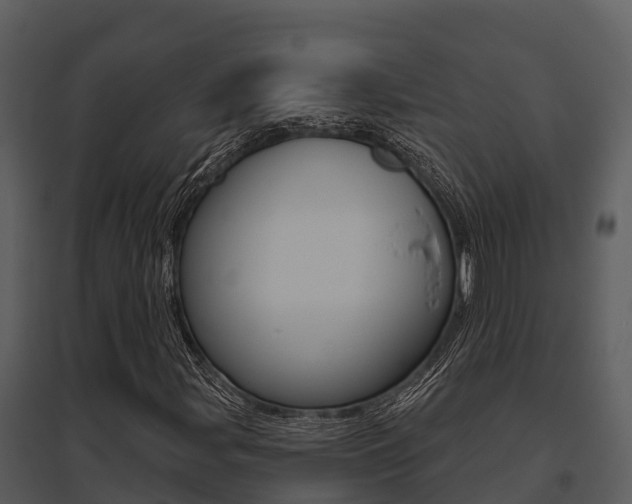 X0000095681107200801081057
