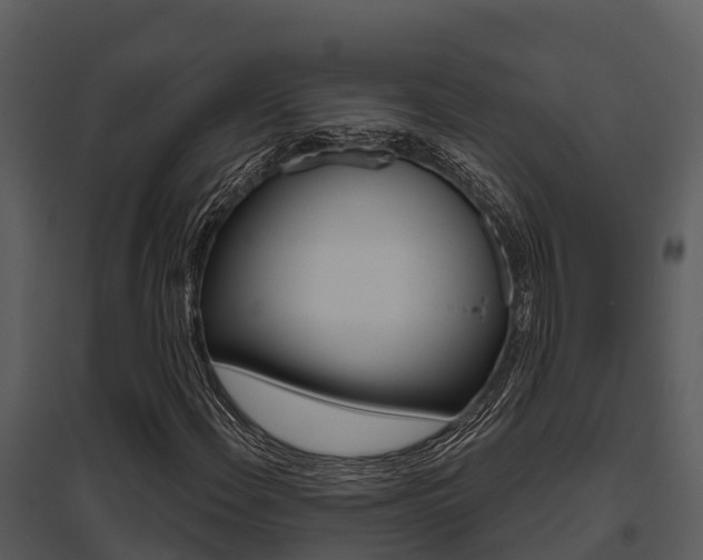 X0000095681108200801081057