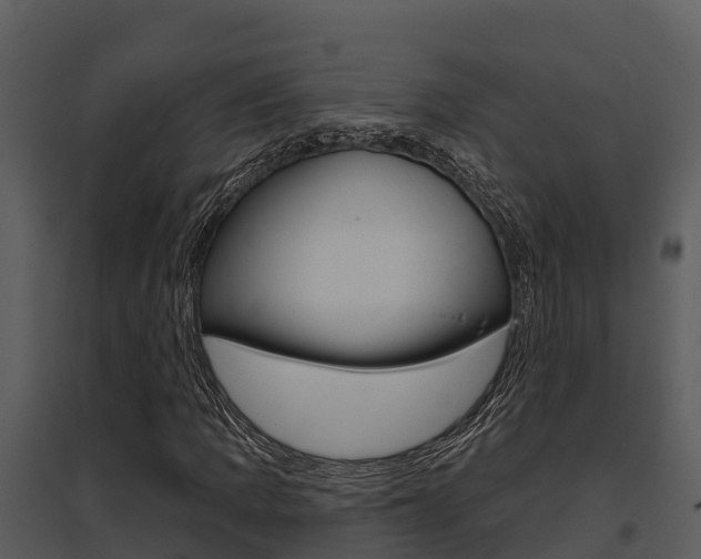 X0000095681109200801081057