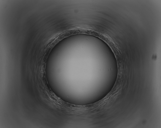 X0000095681110200801081057