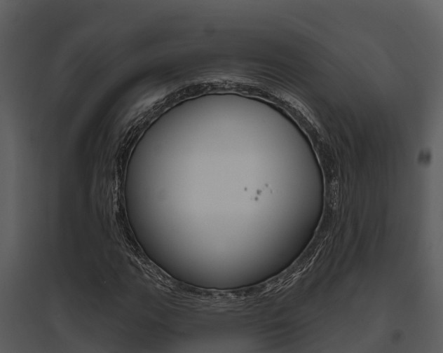 X0000095681111200801081057
