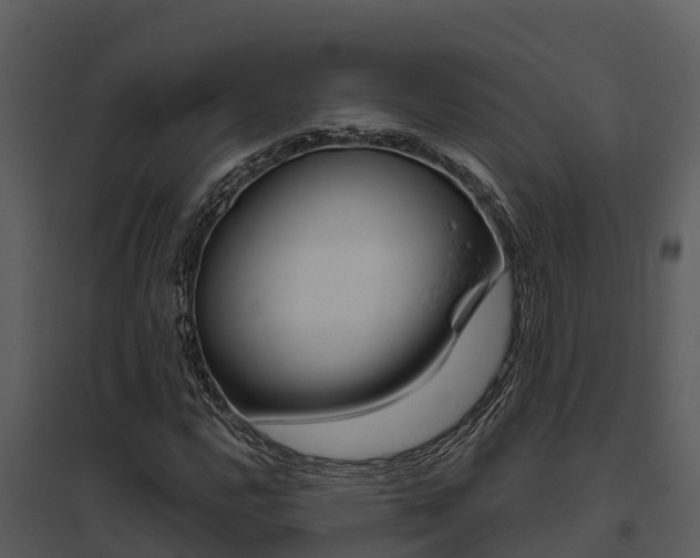 X0000095681112200801081057