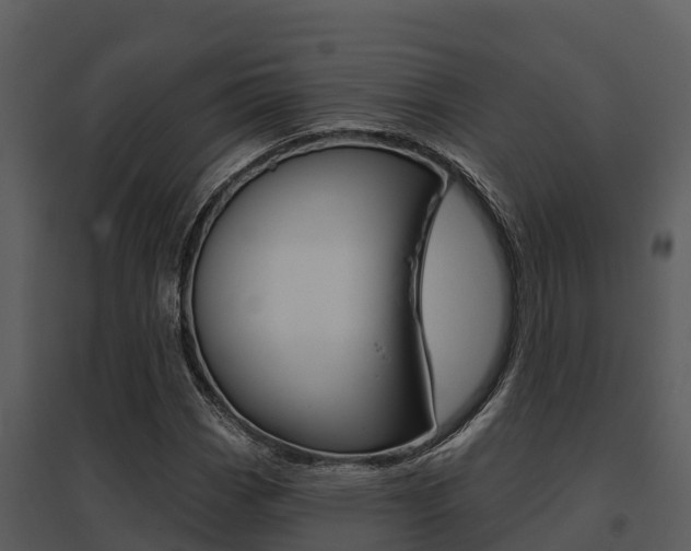 X0000095681113200801081057