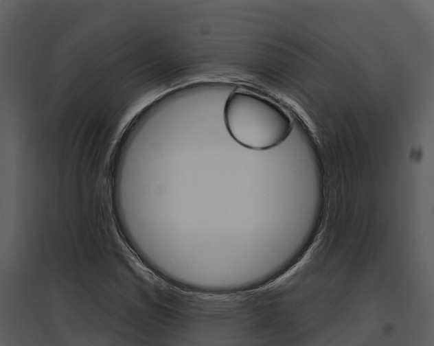 X0000095681114200801081057