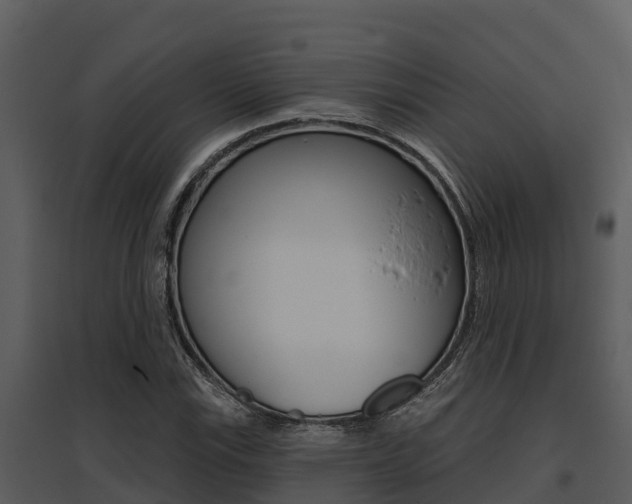 X0000095681115200801081057