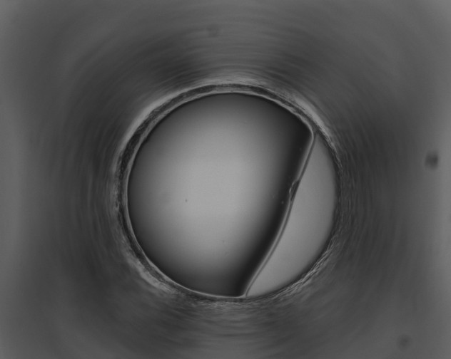 X0000095681116200801081057