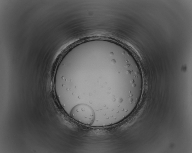 X0000095681117200801081057